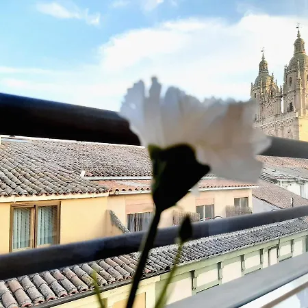 Celestina By Gaiarooms * Salamanca